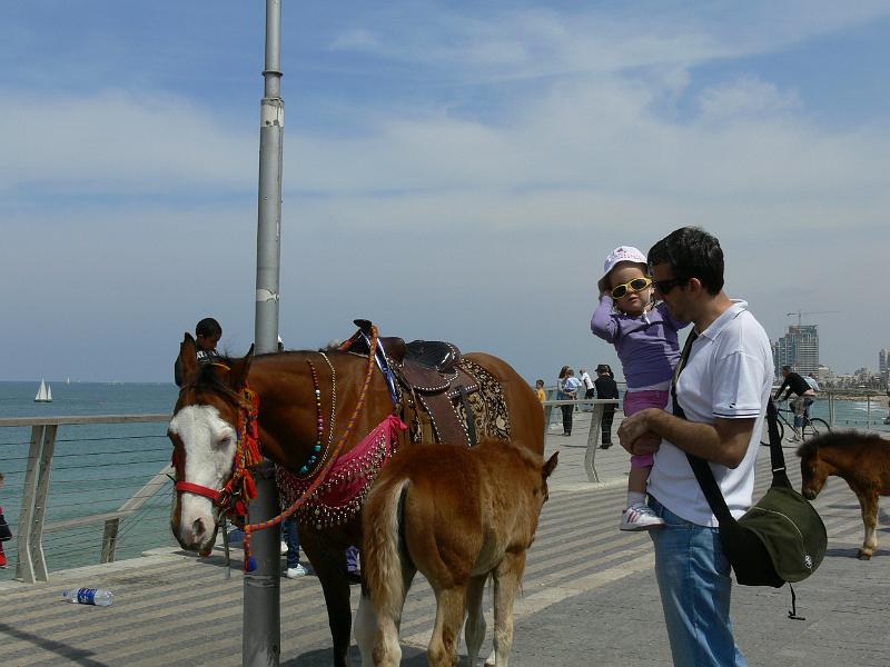 Tel Aviv (70).JPG